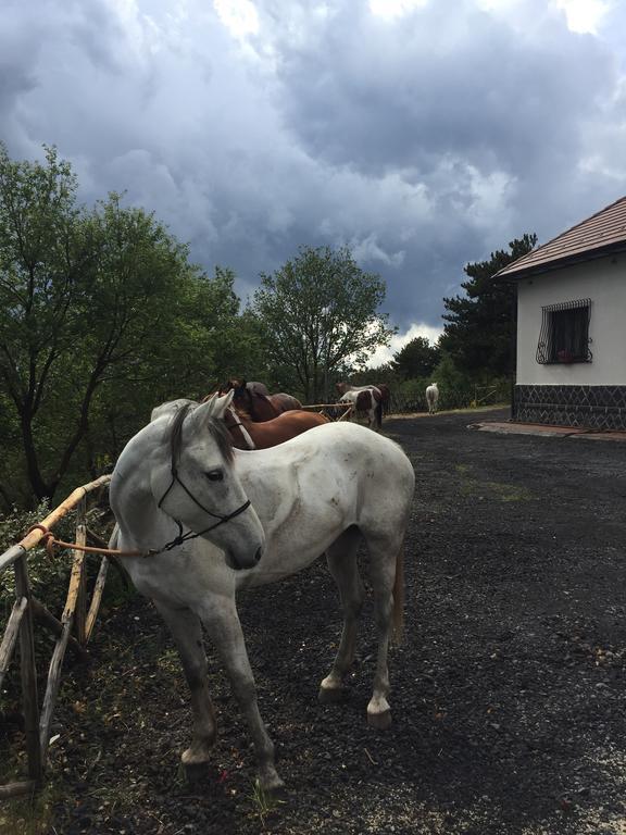 Hotel Villa Dorata Ніколозі Екстер'єр фото